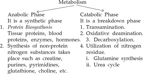 tirzepatide and glutathione together L-Glutamine Administration Reduces Oxidized Glutathione and MAP Kinase  Signaling in Dystrophic Muscle of mdx Mice main image 1