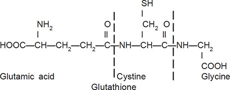 glutathione british supplements Glutathione Plus - 60 Capsules - Metagenics