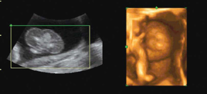 Jaypeedigital Ebook Reader