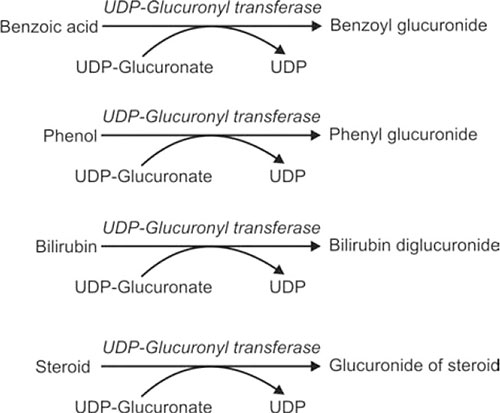 iv glutathion drip Your Guide to Glutathione IV Treatments