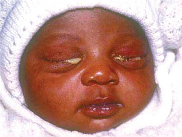 Jaypeedigital Ebook Reader Jaypeedigital Ebook Reader