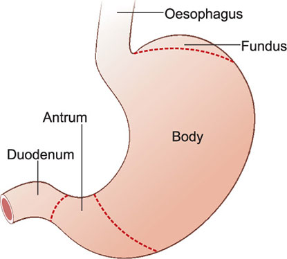 JaypeeDigital | eBook Reader