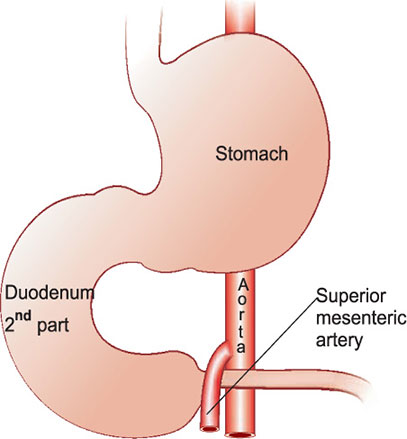 JaypeeDigital | eBook Reader
