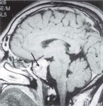 Jaypeedigital Ebook Reader