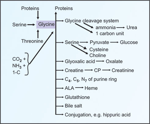 i glutathione benefits What is glutathione and why must we protect patient access to it?