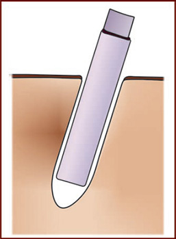 JaypeeDigital