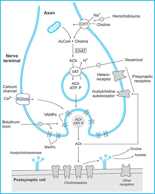 Jaypeedigital Ebook Reader