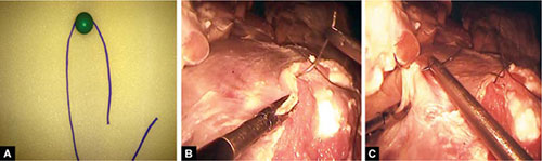 JaypeeDigital | eBook Reader