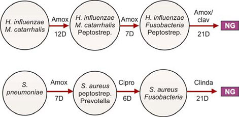 Orden Ciprofloxacin
