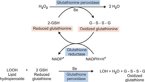 nature glow glutathione collagen glow fda approved JaypeeDigital