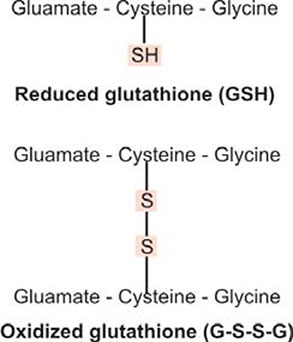 neurobiologix glutathione cream JaypeeDigital