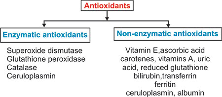 glutathione peroxidase vs catalase American Express main image 0