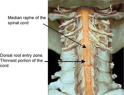 JaypeeDigital | eBook Reader