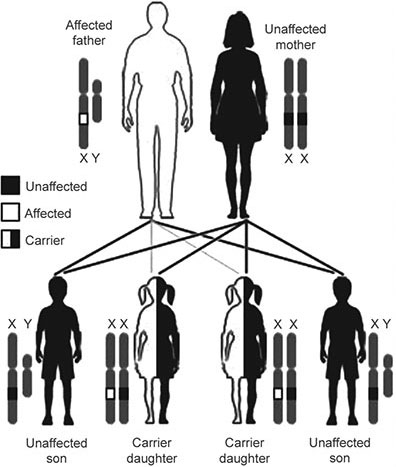 JaypeeDigital | eBook Reader