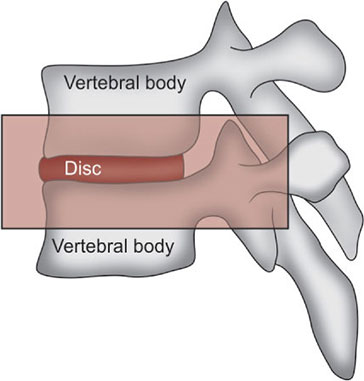 JaypeeDigital | eBook Reader