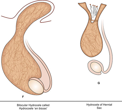 Jaypeedigital Ebook Reader