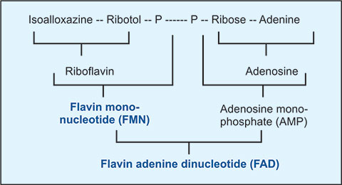 cjc ipamorelin cost CJC-1295/Ipamorelin cjc ipamorelin cost CJC-1295/Ipamorelin