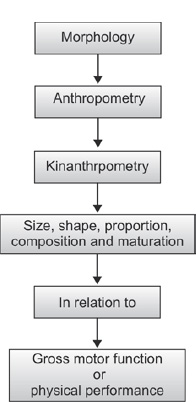 Human Anatomy And Kinanthropometry