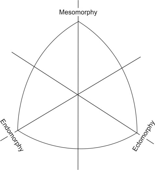Human Anatomy And Kinanthropometry