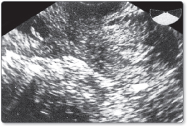 Xususiy kompaniyaning pornografik filmlarini tarjimalari bilan tomosha qiling