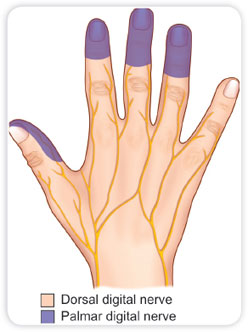 Baby Care Silicone Healthy Thumb Gloves Prevent Stop Finger Sucking Teeth HH