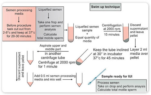 Bobosi nabirasi bilan jinsiy aloqada boladi