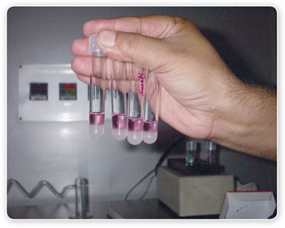 Erkaklar paypoqda jinsiy aloqada bolishadi