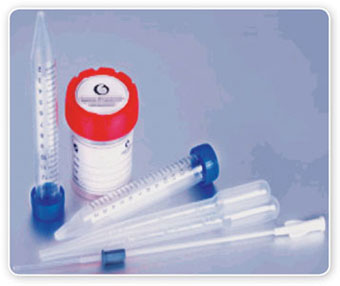 Hojatxonada sik irgadi