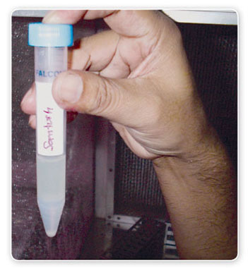 Chechen ayol bilan porno videolarni tomosha qiling