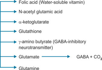 glutathione what foods have it foods to increase glutathione naturally Foods With L-Glutathione: Avocado,  Watermelon, and More