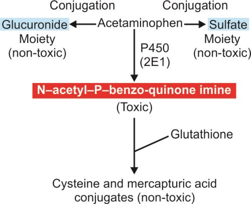 conjugation toxins to glutathione Is a “Sluggish Liver” Making Your Menopause Symptoms Worse? 🤯 Why? During  peri/menopause, the liver is under massive pressure to process fluctuating  hormones, especially estrogen. If it's overloaded, that estrogen  recirculates, leading main image 0