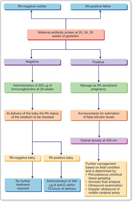 Jaypeedigital Ebook Reader