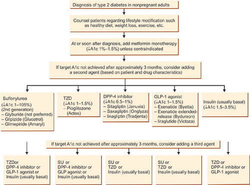 glp 1 agonist contraindications Clinical Recommendations to Manage Gastrointestinal Adverse Events in Patients Treated with Glp-1 Receptor Agonists: A Multidisciplinary Expert Consensus Revolutionizing obesity treatment: The emerging