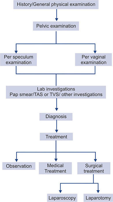 Pelvic Exam Procedure Step By Step