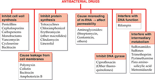 clindamycin erythromycin 333 mg