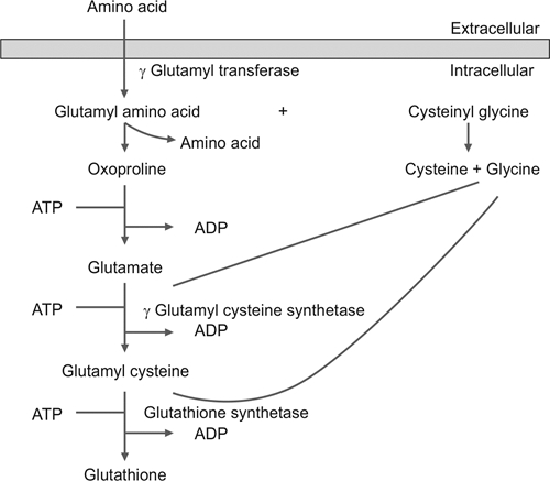 how to test glutathione capsule JaypeeDigital