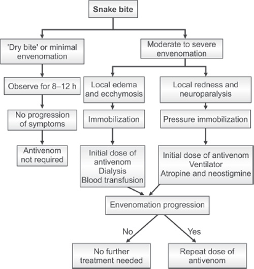 Snake Bite Management Flow Chart Flowchart Examples