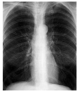 Jaypeedigital Ebook Reader