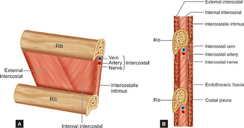 Jaypeedigital Ebook Reader