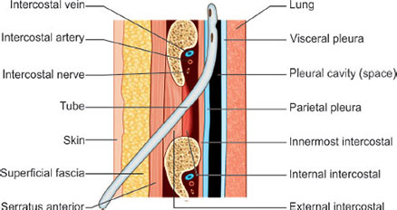 Jaypeedigital Ebook Reader