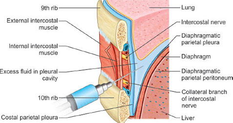 Jaypeedigital Ebook Reader