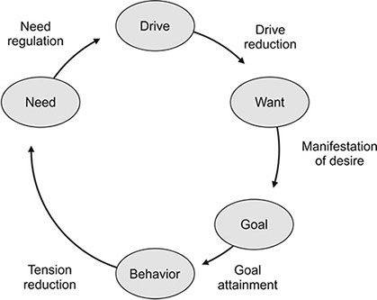 Drive Theory Diagram