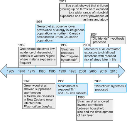 Too Clean Hypothesis Examples Hygiene Hypothesis PDF) The Hygiene Hypothesis And Darwinian Medicine