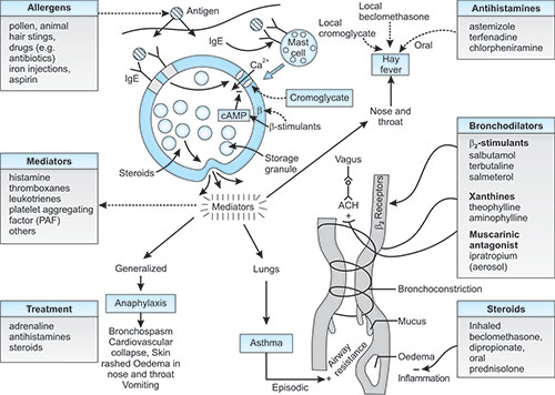 JaypeeDigital