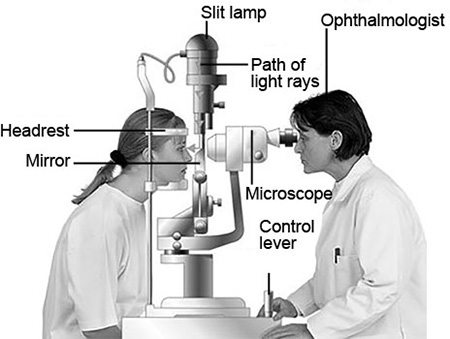 【裁断済】Pocket knowledge for eye disease 2n hqdefault.jpg