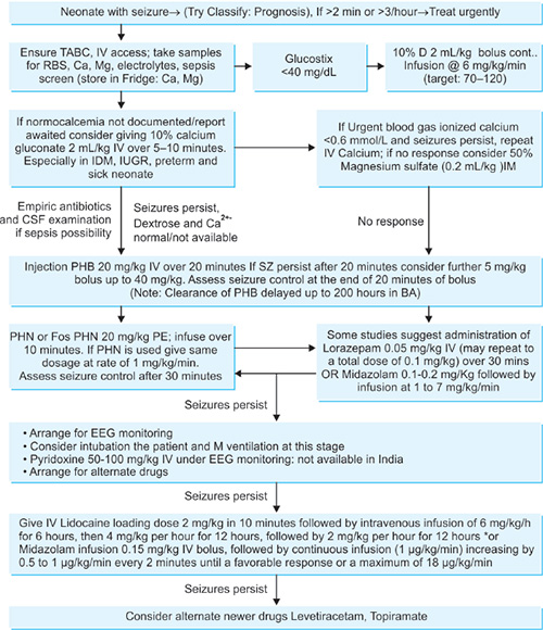 Neonatal Seizures Treatment Algorithm