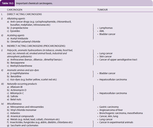 Carcinogens Types And Cancer Induction