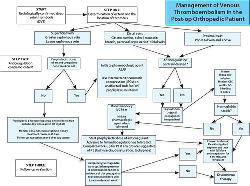 Jaypeedigital Ebook Reader