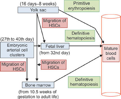 Jaypeedigital Ebook Reader