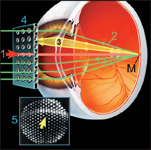 JaypeeDigital | eBook Reader